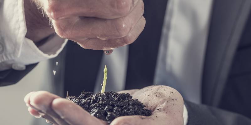 8 Ways to Grow Your Business Quickly