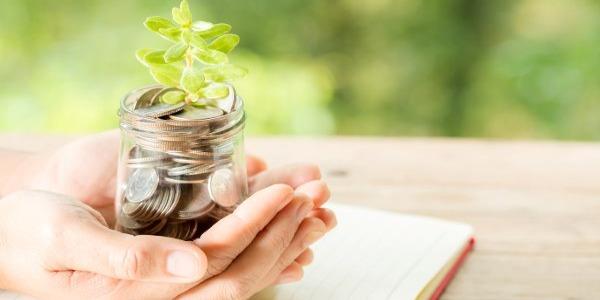 woman hand holding plant growing from coins bottle