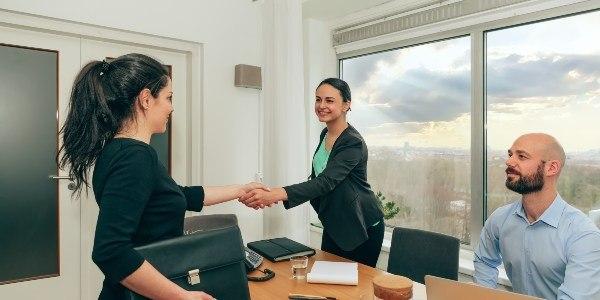 1.Buying an Established Business for Sale