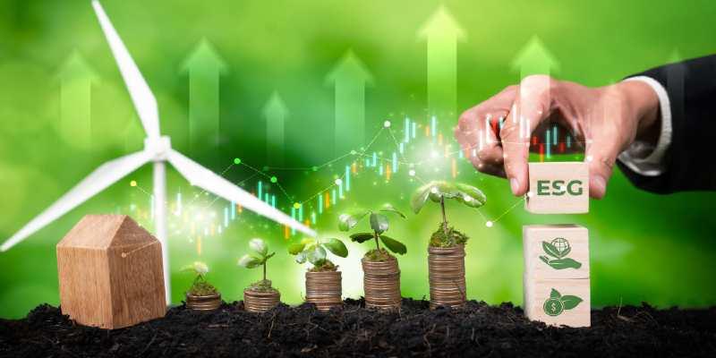 Proven Sustainable Business Practices for Long Term Growth