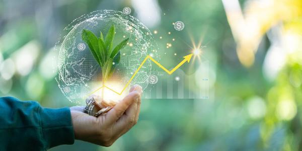 Hand holding tree grows on coin pile growing money finance and investment seedling are growing with business arrow of growth concept